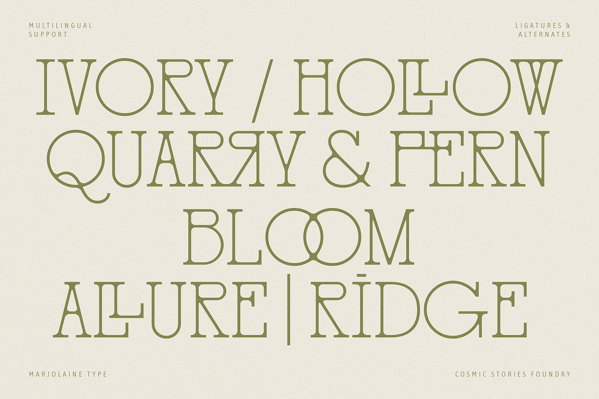 Marjolaine Type - A delicate Serif, a Serif Font by CarmineType (Photo 6 of 24)
