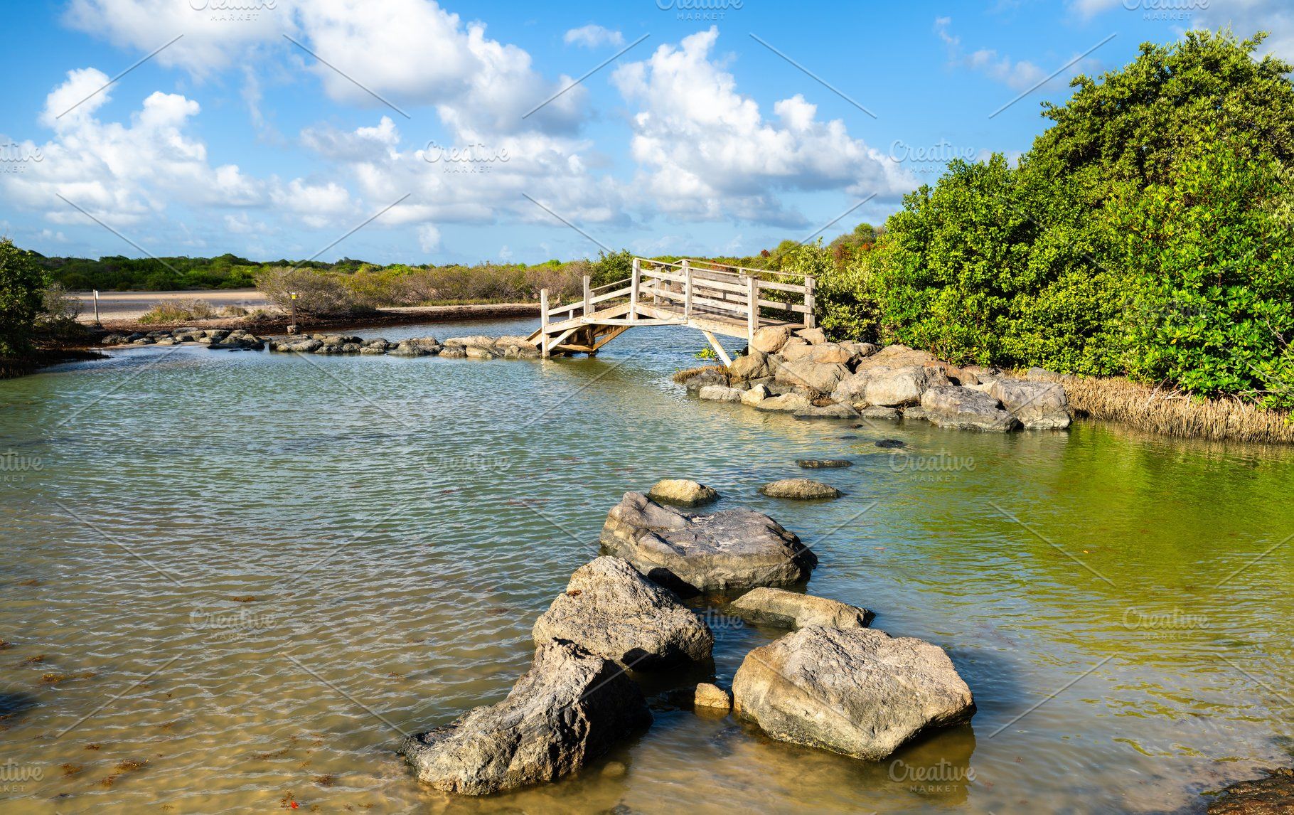 Wooden bridge at Pont de Anse a Prunes in Martinique, a Nature Photo by Leonid Andronov