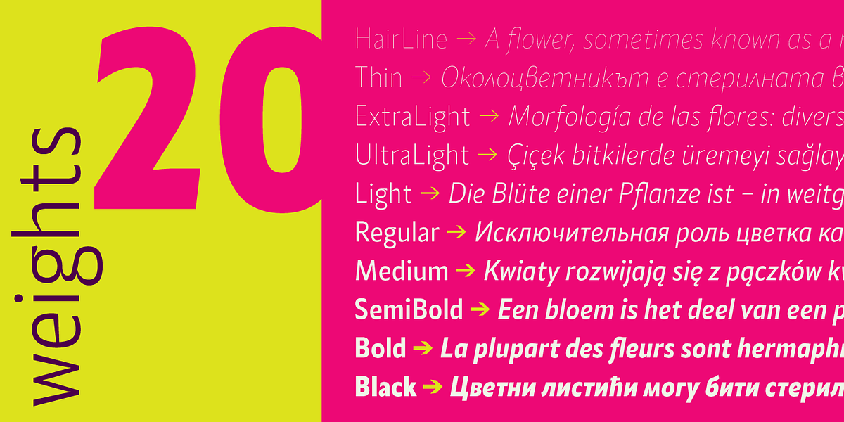 Alamia, a Sans Serif Font by Ani Dimitrova (Photo 7 of 12)