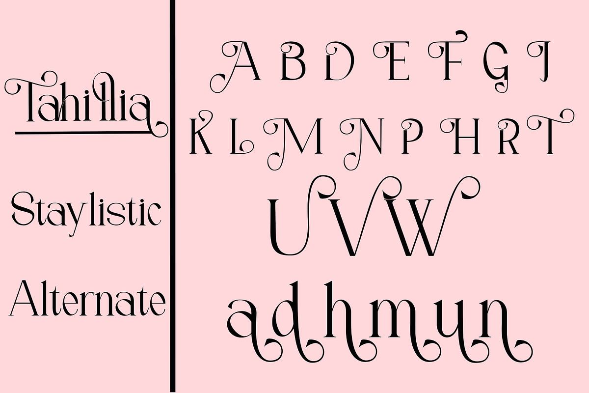 Tahillia, a Serif Font by Canden Meutuah (Photo 5 of 10)