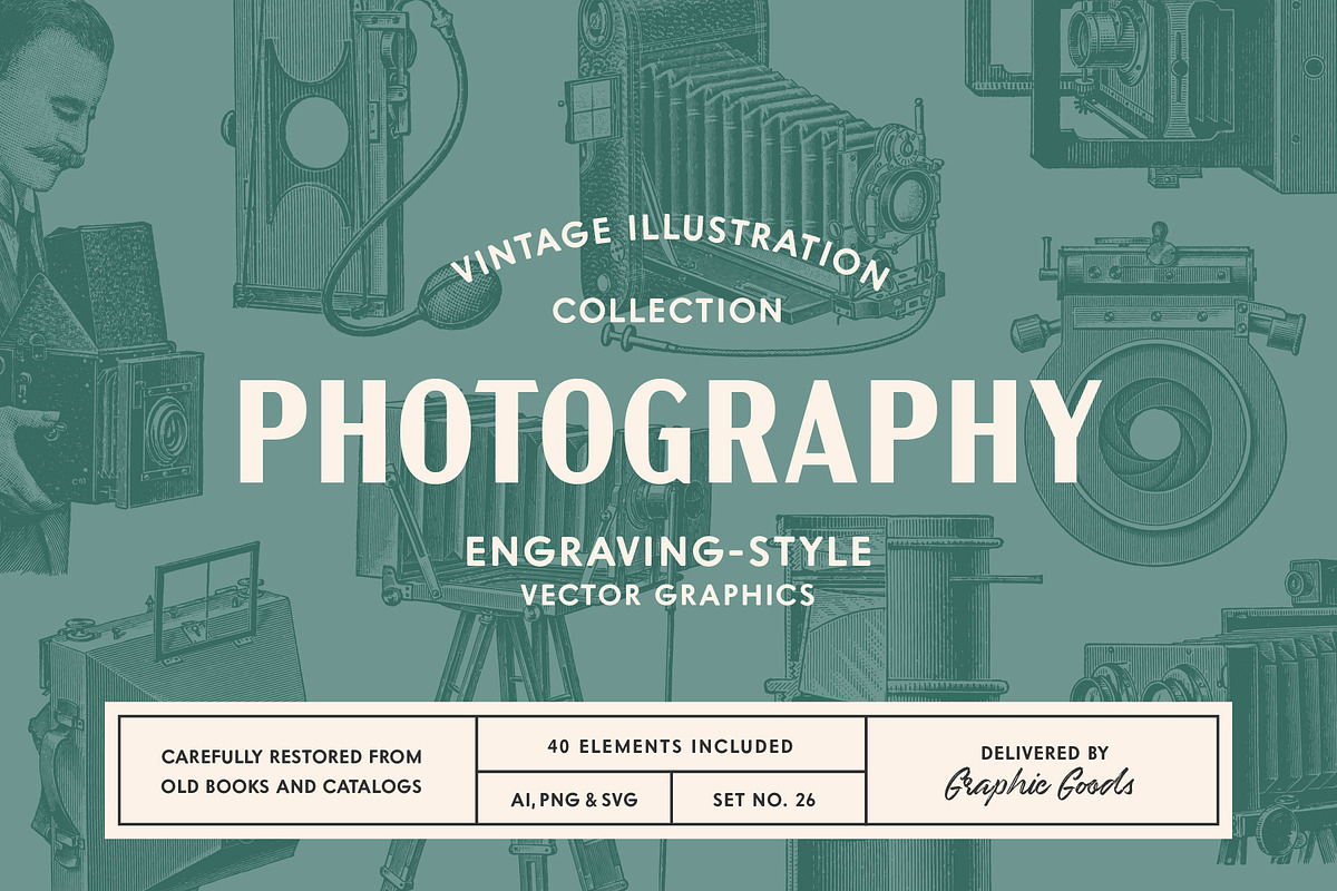 Photography - Vintage Illustrations, an Illustration by Graphic Goods (Photo 1 of 11)