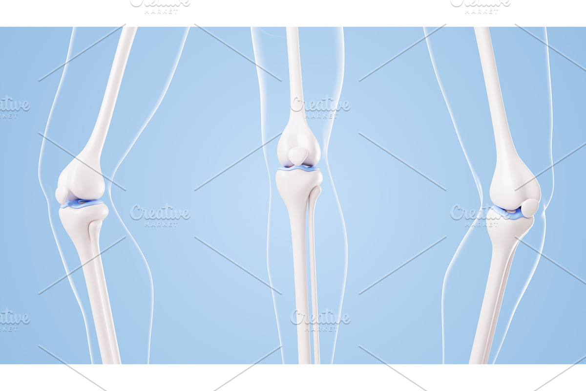 Healthy knee joint anatomy 3D models, a Healthcare Illustration by Marozhkastudio