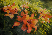 Classic Watercolor Photo Effect, a Layer Style Add-On by Design Squad (Thumbnail 6 of 6)