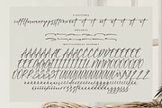 Blissful Harmony, a Script Font by operatype.co (Thumbnail 15 of 17)