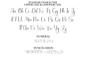 Mainstay Handwriting, a Handwritten Font by FreshTypeINK (Thumbnail 6 of 8)