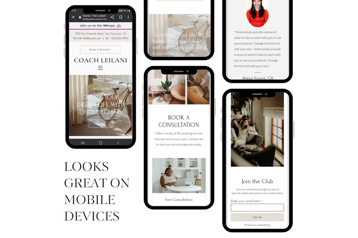 WIX Website Template for Coaches, a Wix Template by CreatedbyVision LLC (Photo 6 of 8)