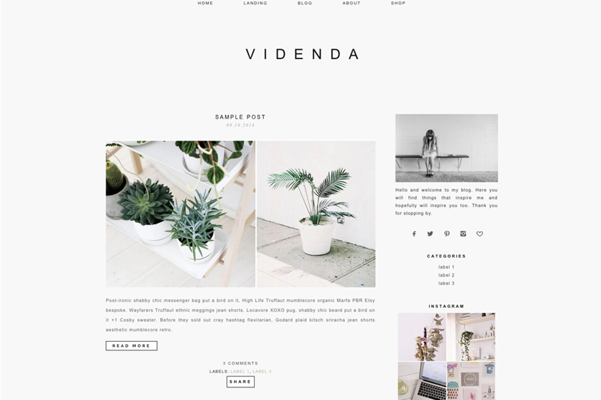 Responsive WP Theme - Videnda, a WordPress Template by Light Morango (Photo 2 of 4)
