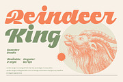 Candler Ranger Font Duo, a Script Font by Damelev (Thumbnail 4 of 8)