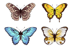 Butterflies Flying With Colored