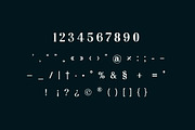 Vexford Quantum Serif Family Font, a Serif Font by UICreative (Thumbnail 8 of 13)