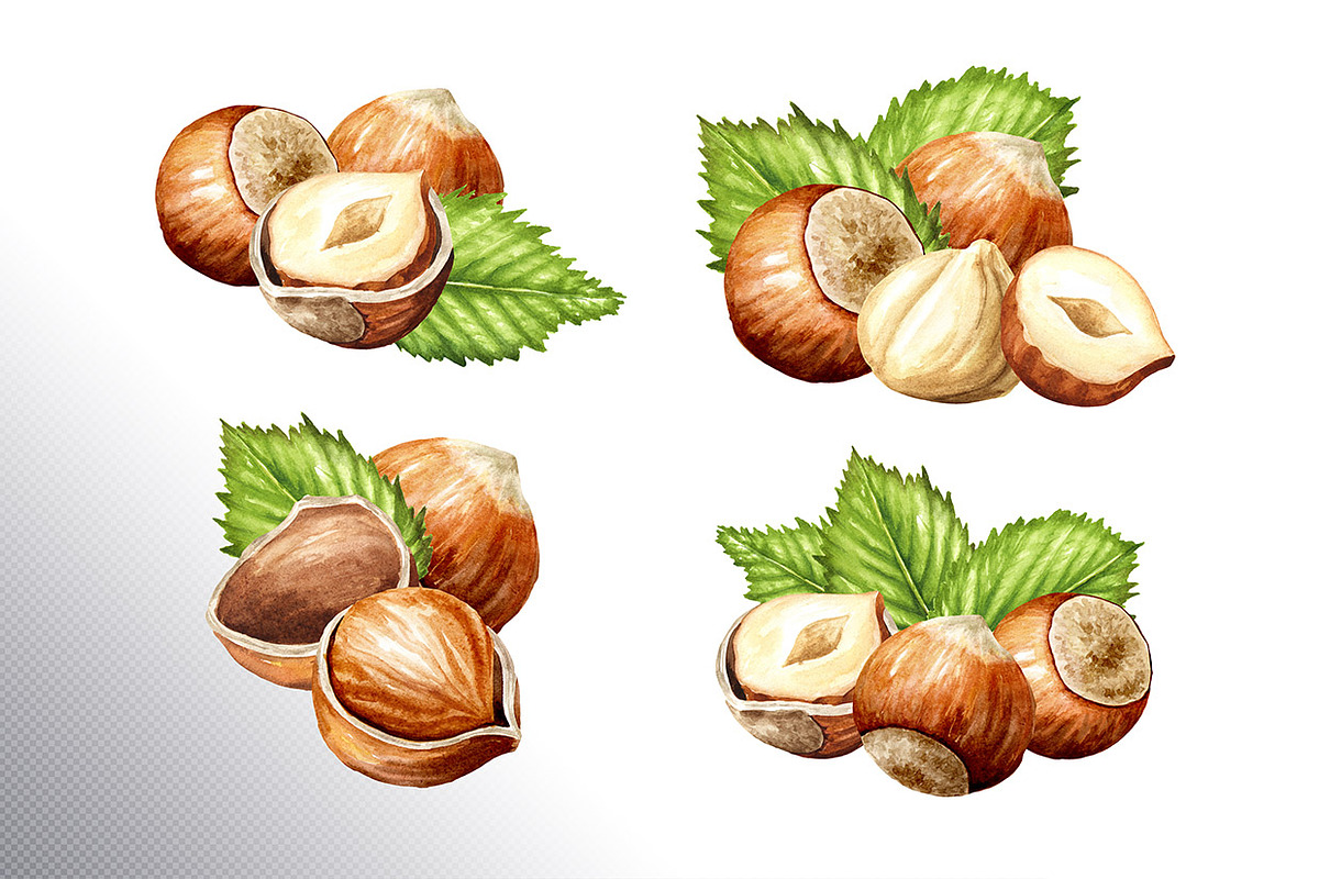 Huzelnuts. Watercolor collection, a Food Illustration by Daria Ustiugova (Photo 3 of 23)