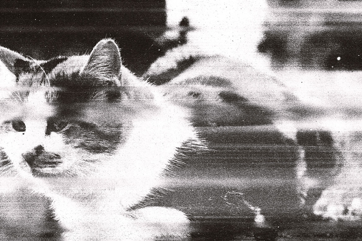 Old Scan Print, a Layer Style Add-On by dokudokunomi (Photo 5 of 5)