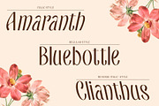 CS Santiago – Aesthetic Font, a Sans Serif Font by Craft Supply Co. (Thumbnail 2 of 8)