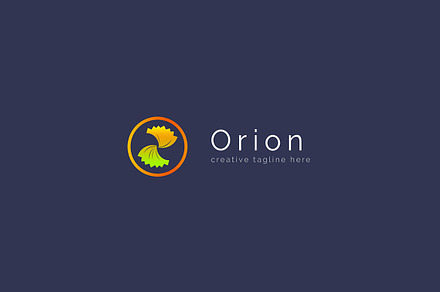 Orion - Multipurpose Logo Template