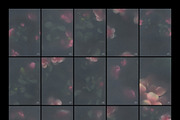 Nocturne in Bloom Floral Backgrounds, a Background Graphic by Dina Mae (Thumbnail 9 of 10)