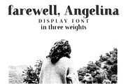 Farewell Angelina Display serif font, a Serif Font by Ana's Fonts (Thumbnail 1 of 9)