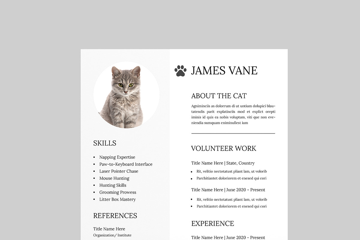 Cat Resume Template, a Resume Template by MightyDesign (Photo 2 of 8)