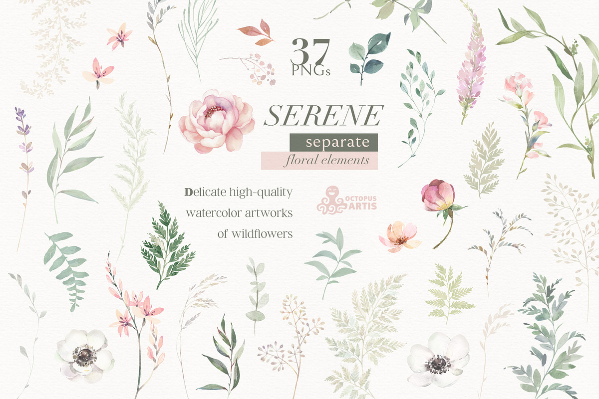 Serene. Watercolor Collection, an Illustration by OctopusArtis (Photo 6 of 7)