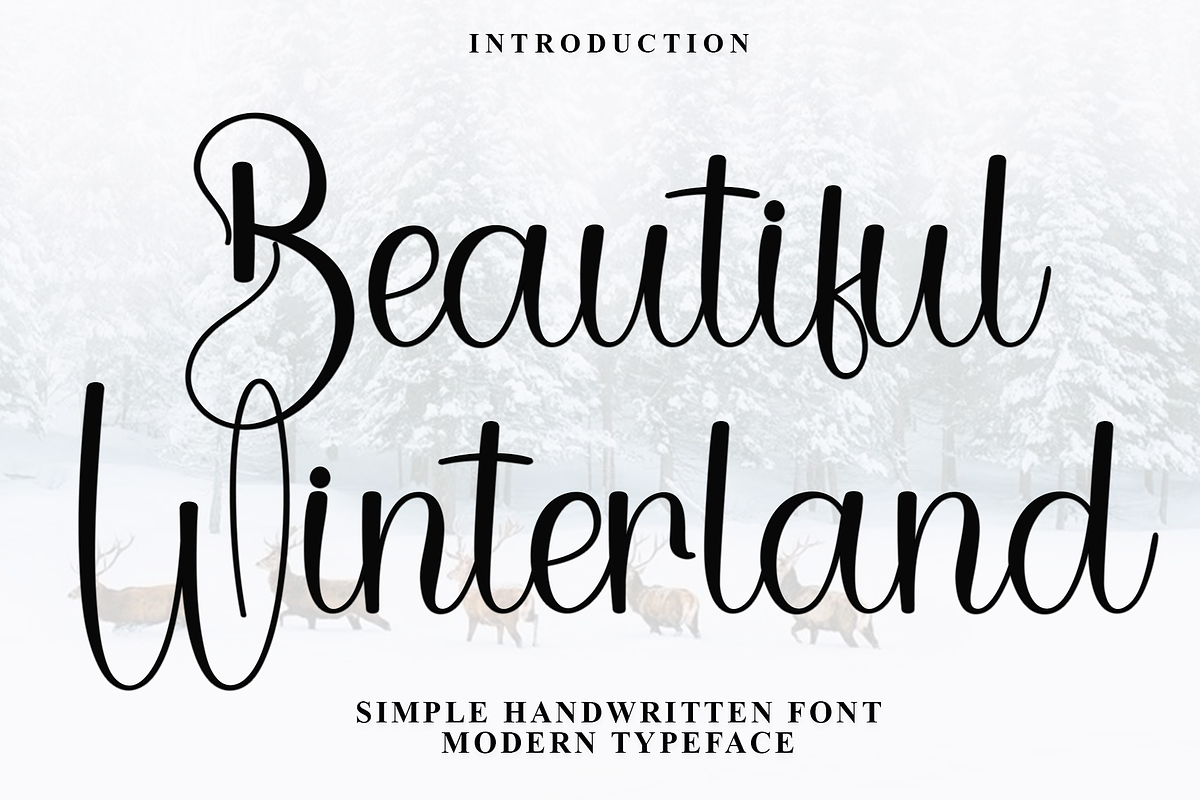 Beautiful Winterland, a Handwritten Font by InermediaSTUDIO (Photo 1 of 8)