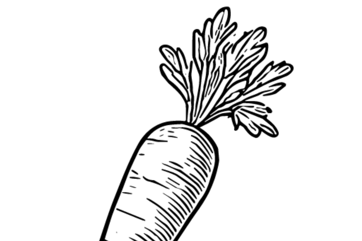 Vegetable Sketch Collection, an Object Graphic by nikagraphic (Photo 2 of 3)