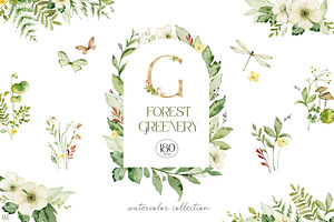 Watercolor set of Forest Greenery