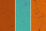 GSTC - Stone bench textures, a Texture Graphic by The Shop (Thumbnail 58 of 80)