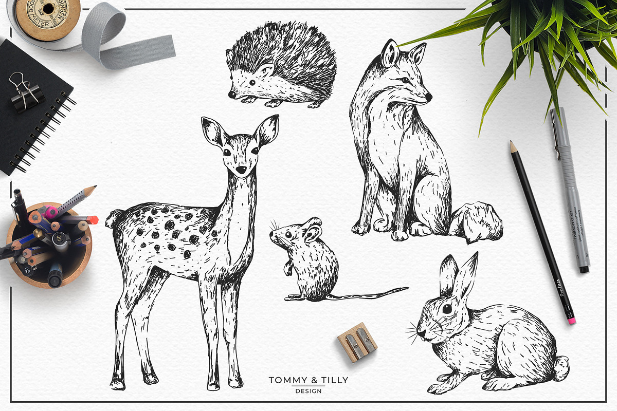 Hand Drawn Woodland Animals, an Animal Illustration by Tommy & Tilly Design (Photo 2 of 2)
