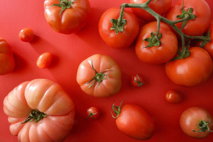 Fresh Tomato Variety Collection on Red Background, a Food & Drink Photo by Davizro's Market