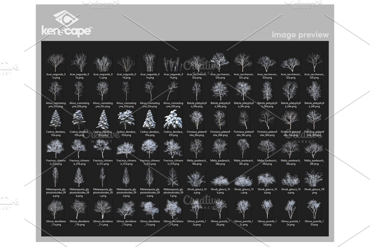 72 Winter Trees Photo Overlays, a Nature Photo by KenScape (Photo 3 of 3)