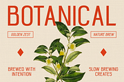 Quentra, a Sans Serif Font by CuratedType Studio (Thumbnail 9 of 11)