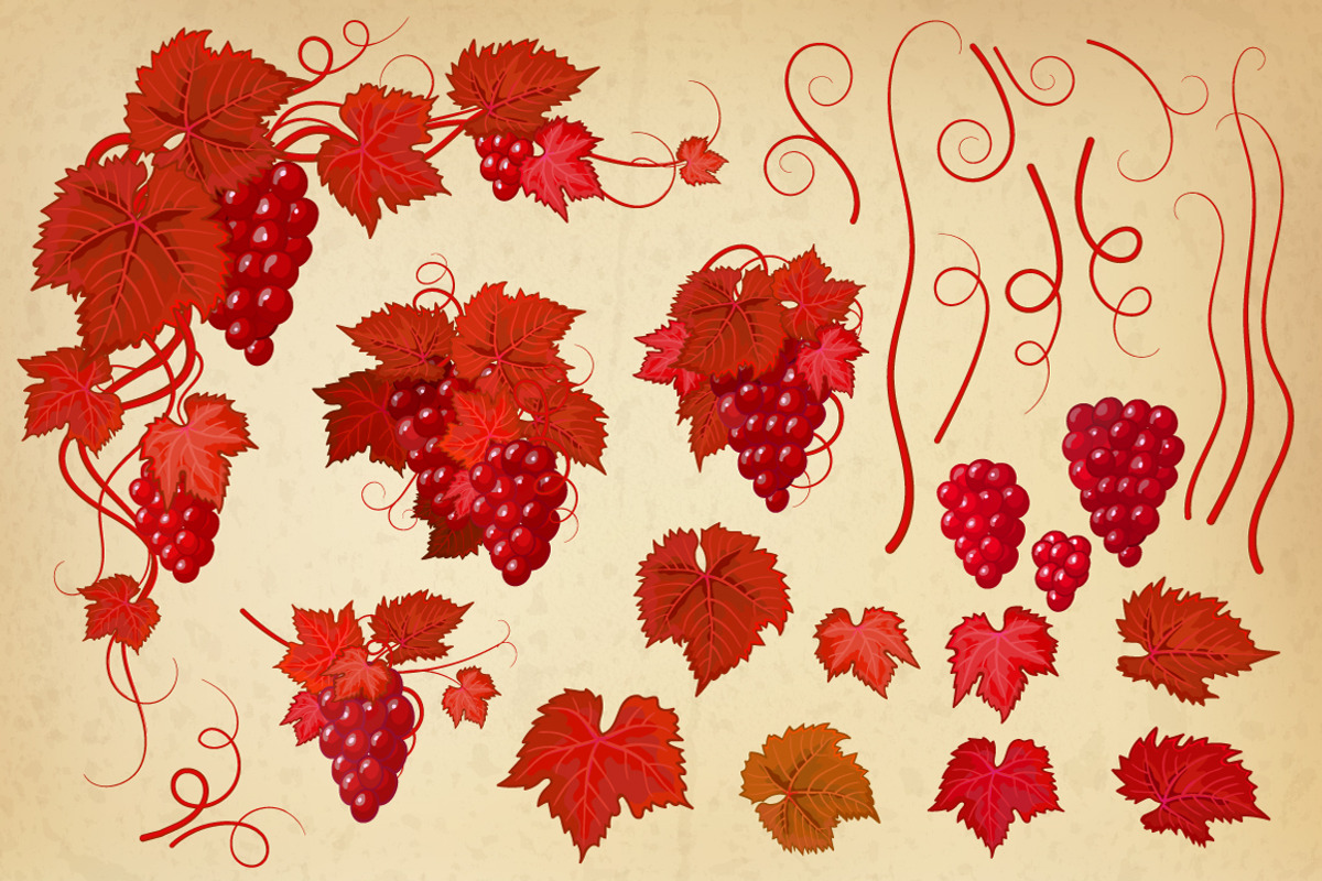 Vintage Grape DIY kit, a Pattern Graphic by leezarius (Photo 3 of 6)