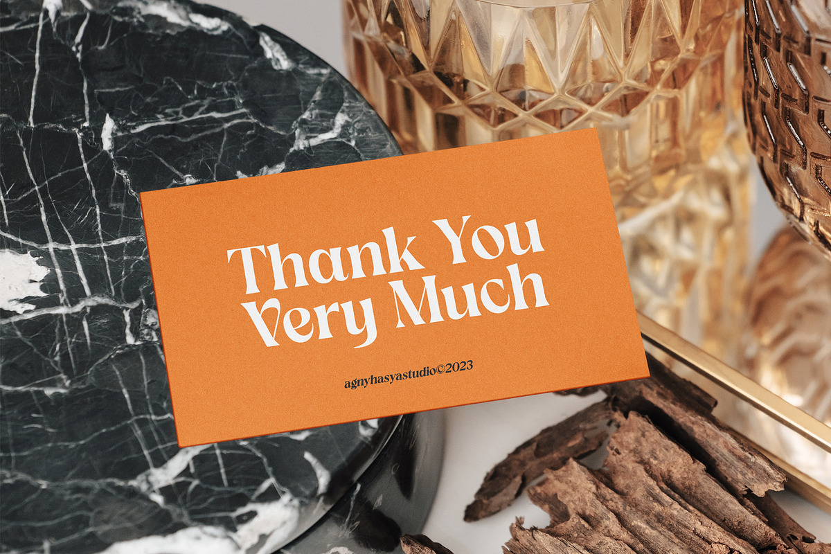 Vangeda - Modern Serif Font, a Font by agnyhasyastudio (Photo 9 of 9)