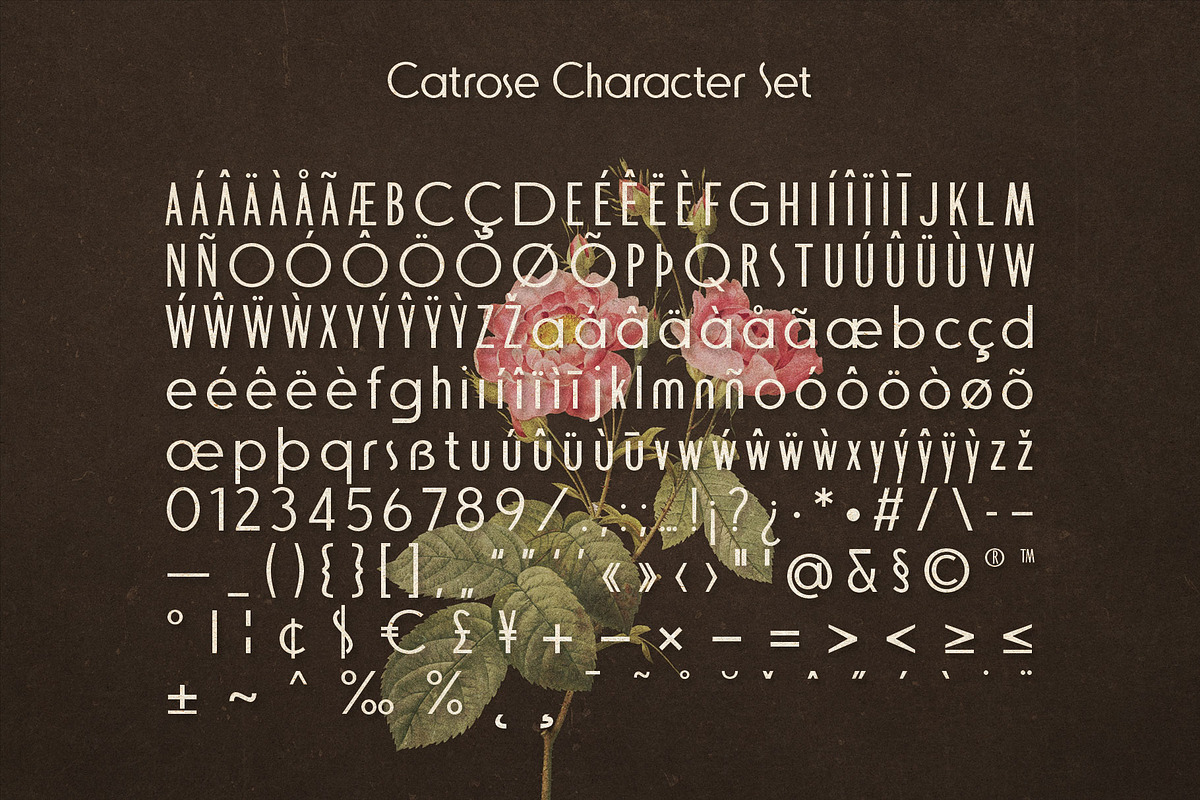 Catrose | Retro Sans, a Sans Serif Font by Almeera Std (Photo 4 of 8)