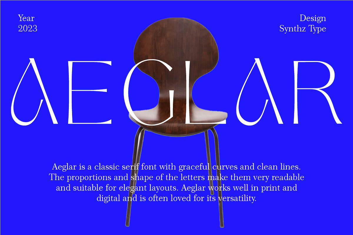 Aeglar Display, a Serif Font by Portion.Labs (Photo 1 of 12)