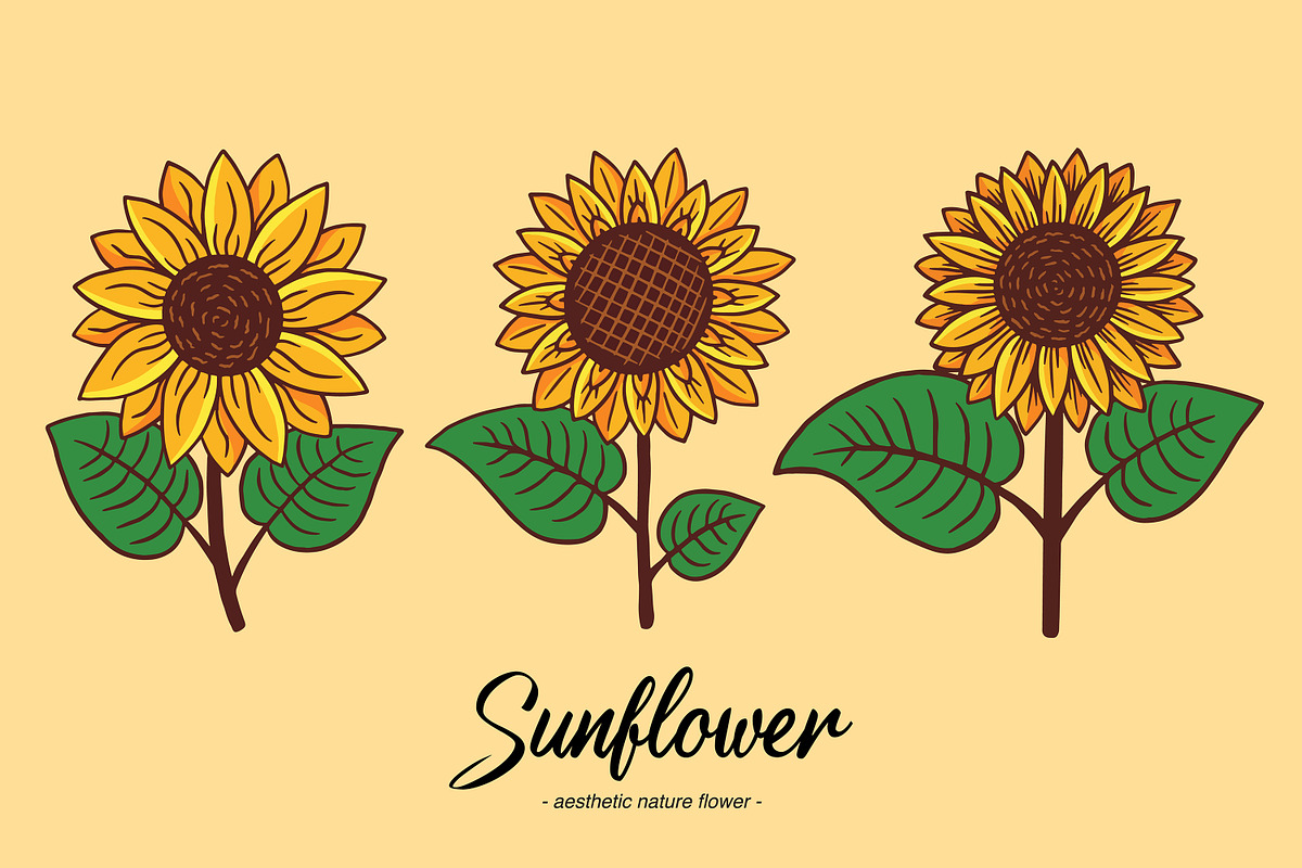 15 Set Sunflower Sunshine Clipart, an Illustration by Morspective (Photo 3 of 7)