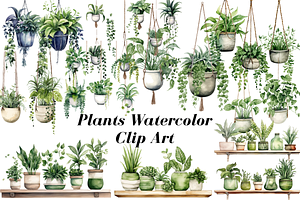 Plants Watercolor Clipart