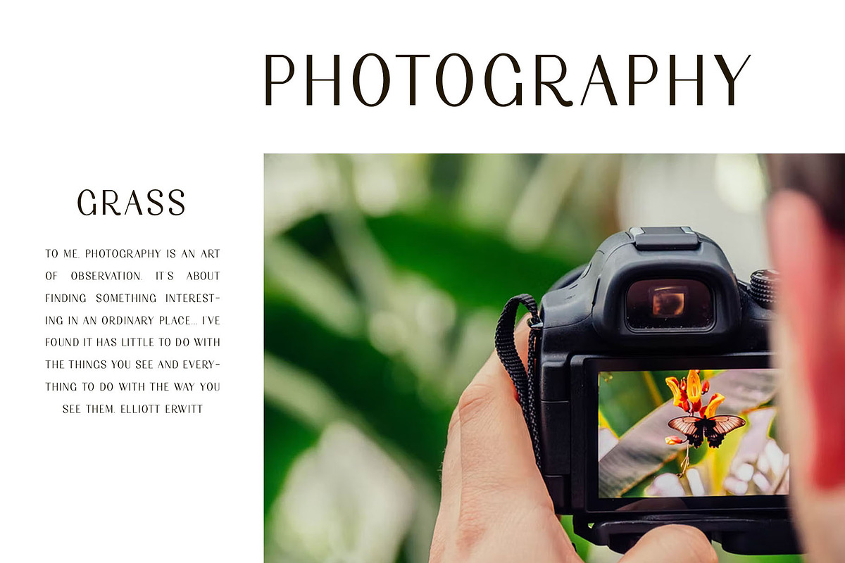 dofline Sans Serif Font, a Sans Serif Font by Humaira_std (Photo 6 of 9)