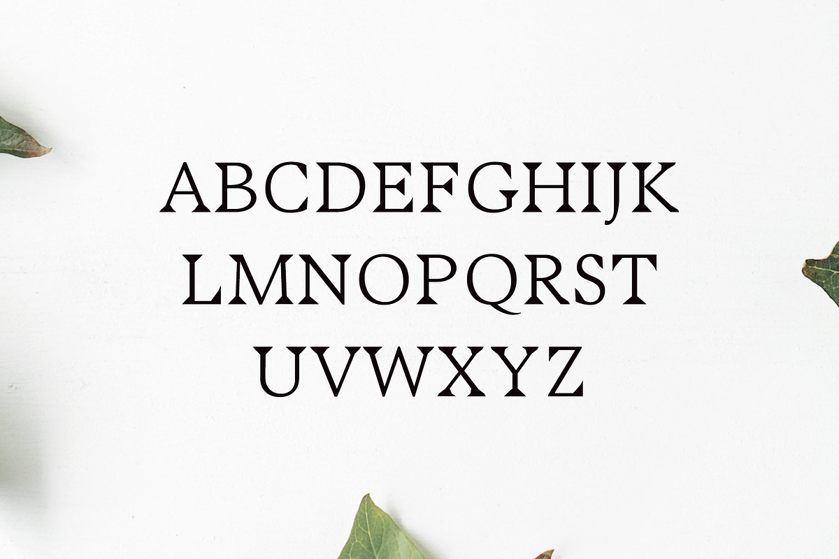 Maddex Serif 3 Font Family preview 2