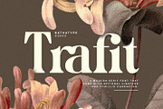 Trafit, a Serif Font by Nathatype (Thumbnail 1 of 10)
