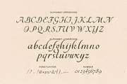 Angelin Script Font, a Script Font by Elegant Font (Thumbnail 9 of 9)