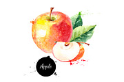 Watercolor Fruits Vector Set 2, a Decorative Illustration by Elena Pimonova (Thumbnail 3 of 4)