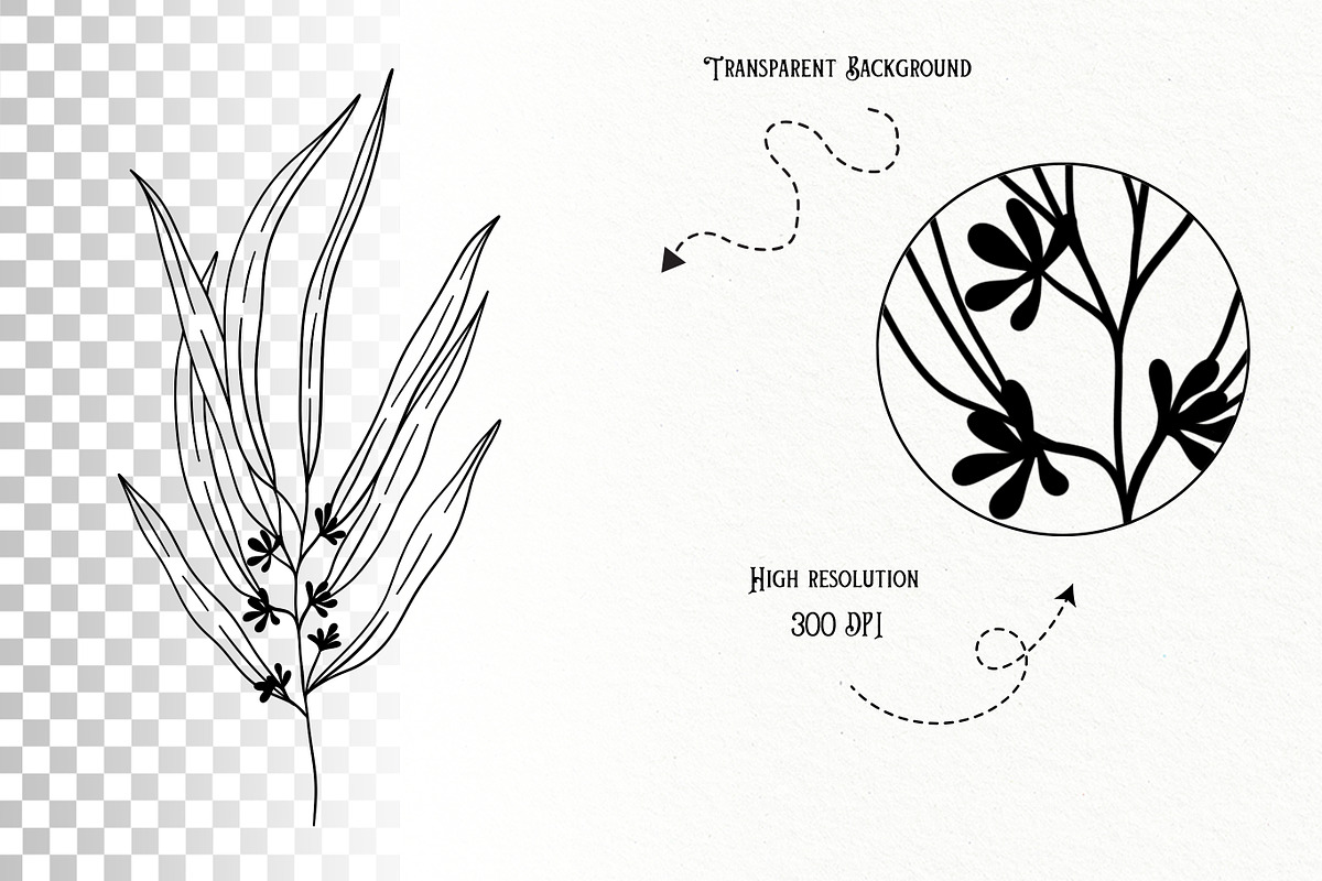 Eucalyptus Line Art Graphics, a Decorative Illustration by DENIDigitalArtSudio (Photo 5 of 5)