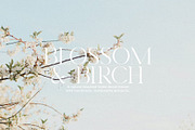 Royal Garden - Unique Semi Serif, a Serif Font by Schrifted Type (Thumbnail 5 of 8)