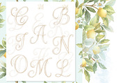 Vintage Lemon Floral Frames bundle, a Decorative Illustration by WonderWonder (Thumbnail 8 of 10)