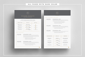 Professional Resume 4 Pages