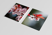 Pink Spring Flowers, a Texture Graphic by QueenDesigns (Thumbnail 2 of 6)