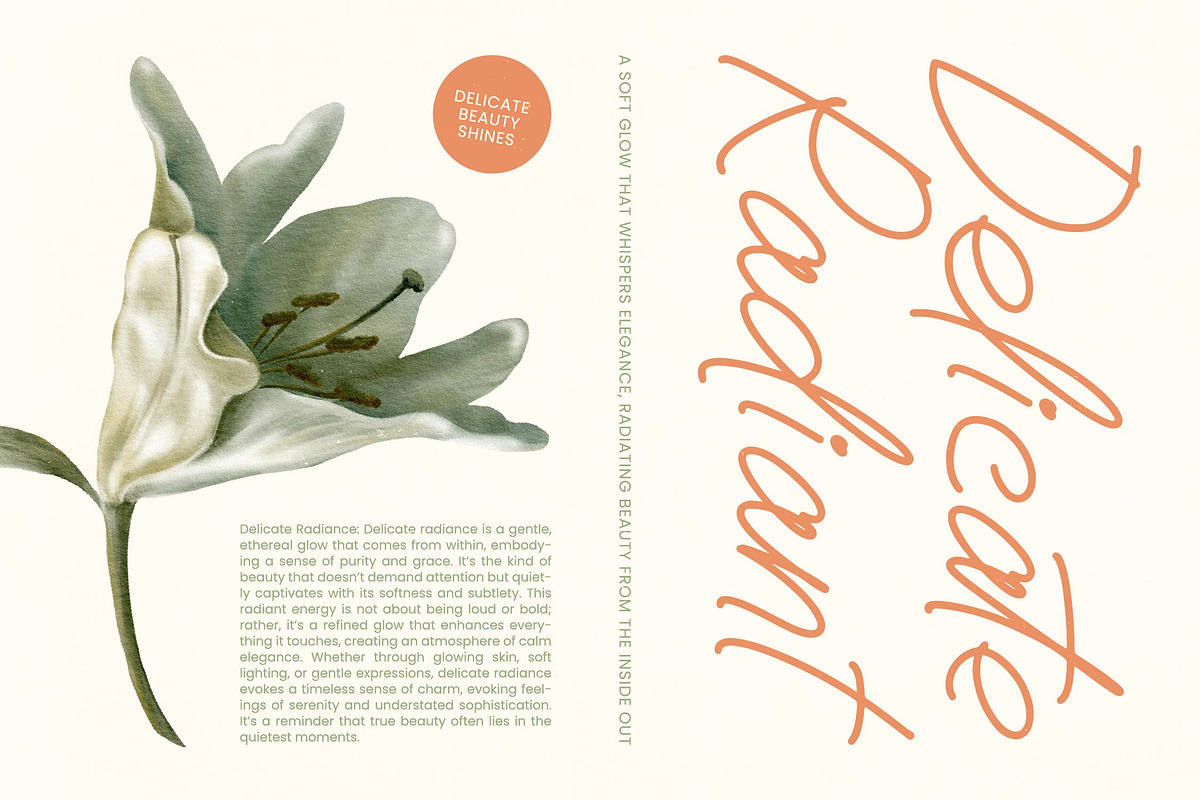 Boltincy Lincolle Notes Handwritten, a Script Font by stylishtype.co (Photo 11 of 20)