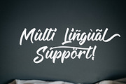Legilature with BONUS, a Script Font by alphArtype (Thumbnail 4 of 7)
