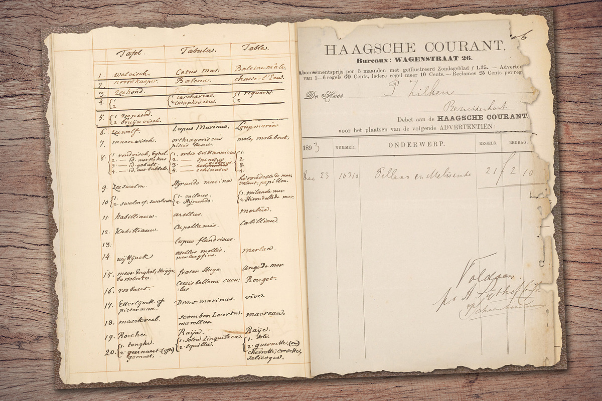 Old Ledger Paper, a Texture Illustration by Secret Helper (Photo 5 of 7)