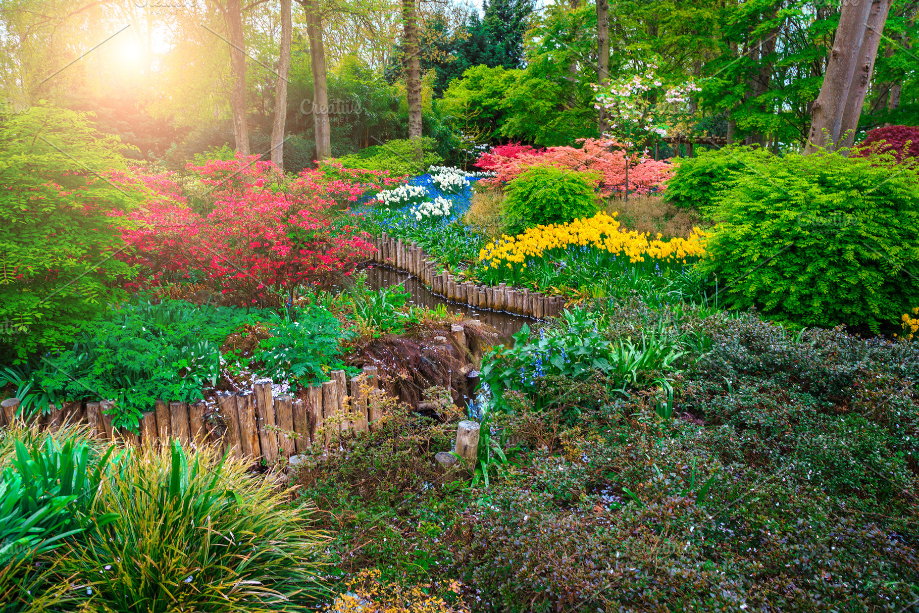 Blooming tulips and colorful flowers, a Nature Photo by Alpine Dreams